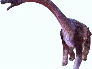 DOWNLOAD BRACHIOSAURUS 3D MODEL ANIMATED - Posterazzi Diplodocus Malawisaurus Saurisquios Camarasaur 3D Model