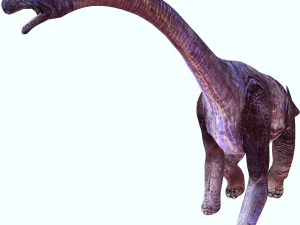 SCARICA MODELLO 3D ANIMATO DI BRACHIOSAURUS - Posterazzi Diplodocus Malawisaurus Saurisquios Camarasaur Modello 3D