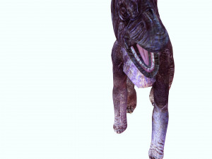 DOWNLOAD BRACHIOSAURUS 3D MODEL ANIMATED - Posterazzi Diplodocus Malawisaurus Saurisquios Camarasaur 3D Model