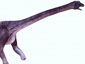 DOWNLOAD BRACHIOSAURUS 3D MODEL ANIMATED - Posterazzi Diplodocus Malawisaurus Saurisquios Camarasaur 3D Model