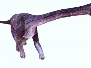 DOWNLOAD BRACHIOSAURUS 3D MODEL ANIMATED - Posterazzi Diplodocus Malawisaurus Saurisquios Camarasaur 3D Model
