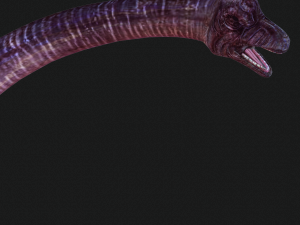 DOWNLOAD BRACHIOSAURUS 3D MODEL ANIMATED - Posterazzi Diplodocus Malawisaurus Saurisquios Camarasaur 3D Model