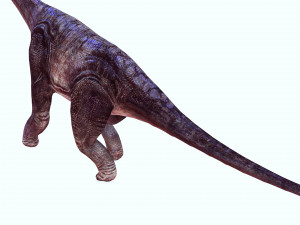 DOWNLOAD BRACHIOSAURUS 3D MODEL ANIMATED - Posterazzi Diplodocus Malawisaurus Saurisquios Camarasaur 3D Model