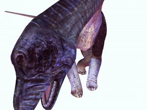 DOWNLOAD BRACHIOSAURUS 3D MODEL ANIMATED - Posterazzi Diplodocus Malawisaurus Saurisquios Camarasaur 3D Model