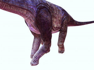 DOWNLOAD BRACHIOSAURUS 3D MODEL ANIMATED - Posterazzi Diplodocus Malawisaurus Saurisquios Camarasaur 3D Model