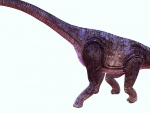 DOWNLOAD BRACHIOSAURUS 3D MODEL ANIMATED - Posterazzi Diplodocus Malawisaurus Saurisquios Camarasaur 3D Model