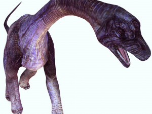 DOWNLOAD BRACHIOSAURUS 3D MODEL ANIMATED - Posterazzi Diplodocus Malawisaurus Saurisquios Camarasaur 3D Model