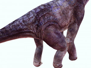 DOWNLOAD BRACHIOSAURUS 3D MODEL ANIMATED - Posterazzi Diplodocus Malawisaurus Saurisquios Camarasaur 3D Model