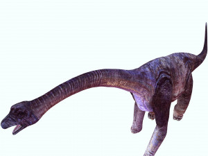 DOWNLOAD BRACHIOSAURUS 3D MODEL ANIMATED - Posterazzi Diplodocus Malawisaurus Saurisquios Camarasaur 3D Model