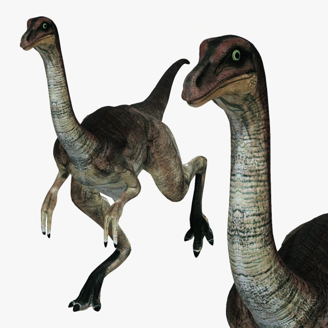 DOWNLOAD DINOGALL 3D MODEL ANIMATED - Gallimimus Gallimimus Aquilamimus Archaeornithomimus 3D Model .c4d .max .obj .3ds .fbx .stl .blend 