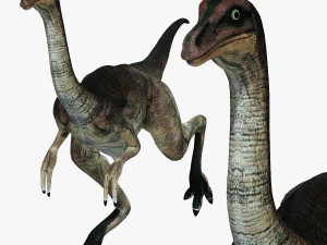 DESCARGAR DINOGALL MODELO 3D ANIMADO - Gallimimus Gallimimus Aquilamimus Archaeornithomimus Modelo 3D