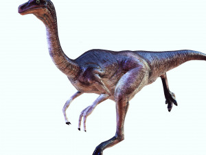 DOWNLOAD DINOGALL 3D MODEL ANIMATED - Gallimimus Gallimimus Aquilamimus Archaeornithomimus 3D Model