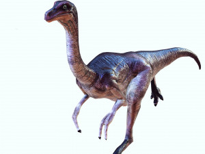 DOWNLOAD DINOGALL 3D MODEL ANIMATED - Gallimimus Gallimimus Aquilamimus Archaeornithomimus 3D Model