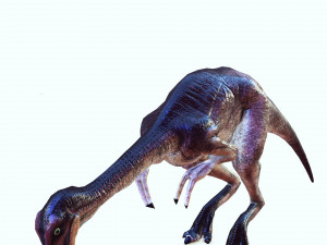 DOWNLOAD DINOGALL 3D MODEL ANIMATED - Gallimimus Gallimimus Aquilamimus Archaeornithomimus 3D Model
