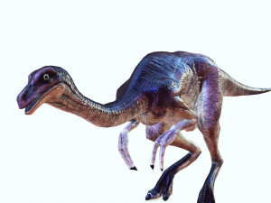 DOWNLOAD DINOGALL 3D MODEL ANIMATED - Gallimimus Gallimimus Aquilamimus Archaeornithomimus 3D Model