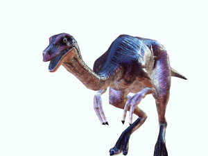 DOWNLOAD DINOGALL 3D MODEL ANIMATED - Gallimimus Gallimimus Aquilamimus Archaeornithomimus 3D Model