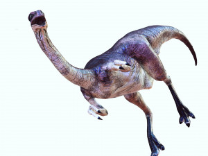 DOWNLOAD DINOGALL 3D MODEL ANIMATED - Gallimimus Gallimimus Aquilamimus Archaeornithomimus 3D Model