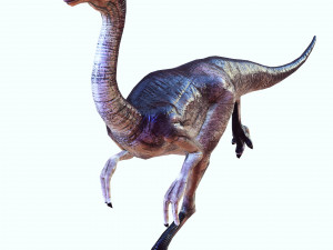 DOWNLOAD DINOGALL 3D MODEL ANIMATED - Gallimimus Gallimimus Aquilamimus Archaeornithomimus 3D Model