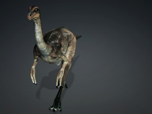 DOWNLOAD DINOGALL 3D MODEL ANIMATED - Gallimimus Gallimimus Aquilamimus Archaeornithomimus 3D Model