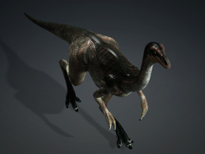 DOWNLOAD DINOGALL 3D MODEL ANIMATED - Gallimimus Gallimimus Aquilamimus Archaeornithomimus 3D Model