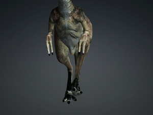 DOWNLOAD DINOGALL 3D MODEL ANIMATED - Gallimimus Gallimimus Aquilamimus Archaeornithomimus 3D Model