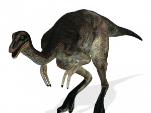 DOWNLOAD DINOGALL 3D MODEL ANIMATED - Gallimimus Gallimimus Aquilamimus Archaeornithomimus 3D Model