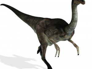 DOWNLOAD DINOGALL 3D MODEL ANIMATED - Gallimimus Gallimimus Aquilamimus Archaeornithomimus 3D Model