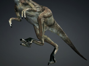 DOWNLOAD DINOGALL 3D MODEL ANIMATED - Gallimimus Gallimimus Aquilamimus Archaeornithomimus 3D Model