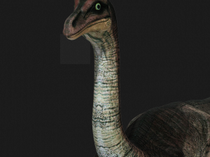 DOWNLOAD DINOGALL 3D MODEL ANIMATED - Gallimimus Gallimimus Aquilamimus Archaeornithomimus 3D Model