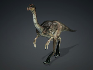 DOWNLOAD DINOGALL 3D MODEL ANIMATED - Gallimimus Gallimimus Aquilamimus Archaeornithomimus 3D Model