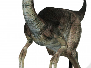 DOWNLOAD DINOGALL 3D MODEL ANIMATED - Gallimimus Gallimimus Aquilamimus Archaeornithomimus 3D Model