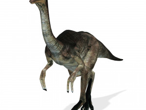 DOWNLOAD DINOGALL 3D MODEL ANIMATED - Gallimimus Gallimimus Aquilamimus Archaeornithomimus 3D Model