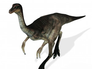 DOWNLOAD DINOGALL 3D MODEL ANIMATED - Gallimimus Gallimimus Aquilamimus Archaeornithomimus 3D Model