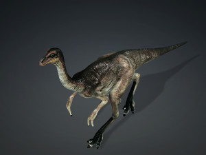 DOWNLOAD DINOGALL 3D MODEL ANIMATED - Gallimimus Gallimimus Aquilamimus Archaeornithomimus 3D Model