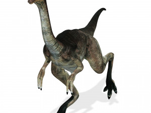 DOWNLOAD DINOGALL 3D MODEL ANIMATED - Gallimimus Gallimimus Aquilamimus Archaeornithomimus 3D Model