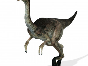 DOWNLOAD DINOGALL 3D MODEL ANIMATED - Gallimimus Gallimimus Aquilamimus Archaeornithomimus 3D Model