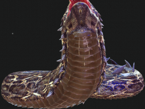 DOWNLOAD BASILIK 3D MODEL ANIMATED - ANIMAL CREATURE FAN ART BASILIK BASILIK DINOSAUR DINOSAUR SNAKE Modèle 3D