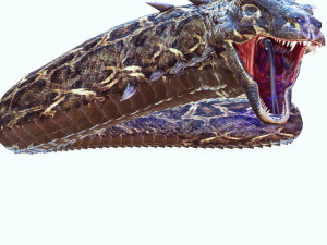 DOWNLOAD BASILIK 3D MODEL ANIMATED - ANIMAL CREATURE FAN ART BASILIK BASILIK DINOSAUR DINOSAUR SNAKE Modèle 3D
