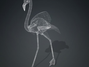DOWNLOAD FLAMINGO 3D MODEL ANIMATED - FLAMINGO DINOSAUR DINOSAUR FLAMINGO DINOSAUR BIRD 3D Модель