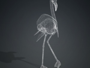 DOWNLOAD FLAMINGO 3D MODEL ANIMATED - FLAMINGO DINOSAUR DINOSAUR FLAMINGO DINOSAUR BIRD 3D Модель