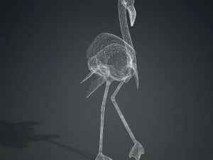 SCARICA FENICOTTERO MODELLO 3D ANIMATO - FENICOTTERO DINOSAURO DINOSAURO FENICOTTERO DINOSAURO UCCELLO Modello 3D