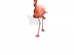 DOWNLOAD FLAMINGO 3D MODEL ANIMATED - FLAMINGO DINOSAUR DINOSAUR FLAMINGO DINOSAUR BIRD 3D Модель