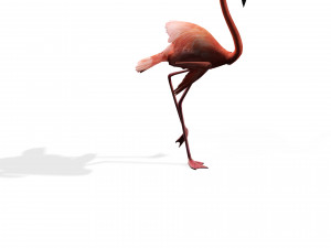 DOWNLOAD FLAMINGO 3D MODEL ANIMATED - FLAMINGO DINOSAUR DINOSAUR FLAMINGO DINOSAUR BIRD 3D Модель