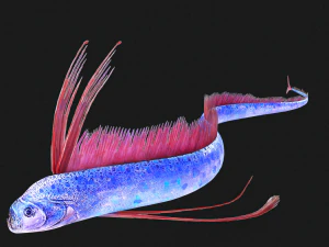 SCARICA CODA DI CAPELLI SCARICA DINOSAURO PESCE DINOSAURO CODA DI CAPELLI PESCE MODELLO 3D ANIMATO - CODA DI CAPELLI Modello 3D