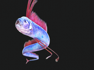 DOWNLOAD HAIRTAIL DOWNLOAD FISH DINOSAUR DINOSAUR HAIRTAIL FISH 3D MODEL ANIMATED - HAIRTAIL Model 3D