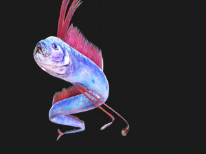 SCARICA CODA DI CAPELLI SCARICA DINOSAURO PESCE DINOSAURO CODA DI CAPELLI PESCE MODELLO 3D ANIMATO - CODA DI CAPELLI Modello 3D