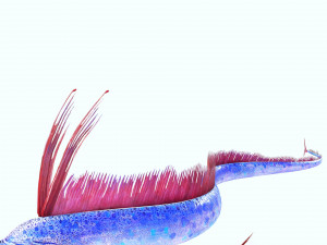 DOWNLOAD HAIRTAIL DOWNLOAD FISH DINOSAUR DINOSAUR HAIRTAIL FISH 3D MODEL ANIMATED - HAIRTAIL Model 3D