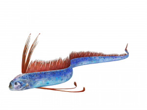 DOWNLOAD HAIRTAIL DOWNLOAD FISH DINOSAUR DINOSAUR HAIRTAIL FISH 3D MODEL ANIMATED - HAIRTAIL Model 3D