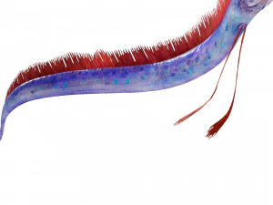 SCARICA CODA DI CAPELLI SCARICA DINOSAURO PESCE DINOSAURO CODA DI CAPELLI PESCE MODELLO 3D ANIMATO - CODA DI CAPELLI Modello 3D