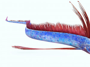 DOWNLOAD HAIRTAIL DOWNLOAD FISH DINOSAUR DINOSAUR HAIRTAIL FISH 3D MODEL ANIMATED - HAIRTAIL Model 3D